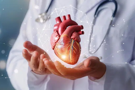 <a href="/product-category/cardio-diabetic/"> Cardiac & Diabetic</a>