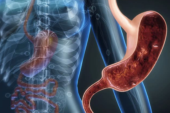 <a href="/product-category/gastro-ppi-range/"> Gastro & PPI Range</a>